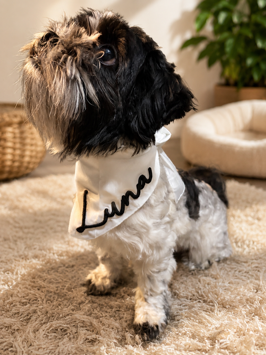 Dog Bandannas